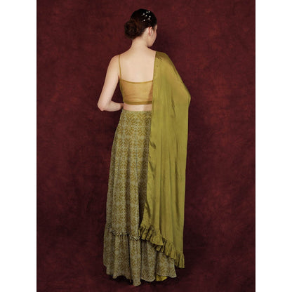 Neha Khullar Printed Lehenga - Green (Set of 3)
