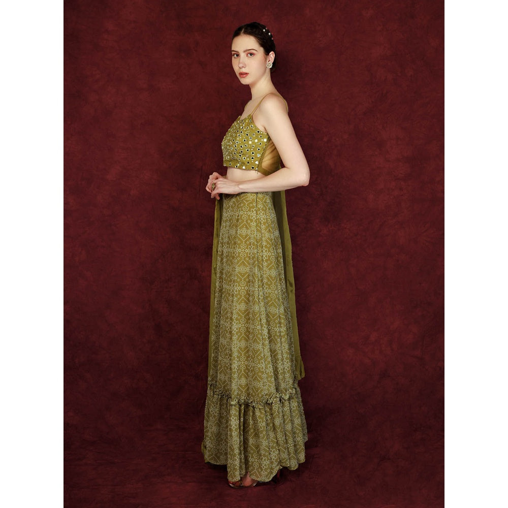 Neha Khullar Printed Lehenga - Green (Set of 3)