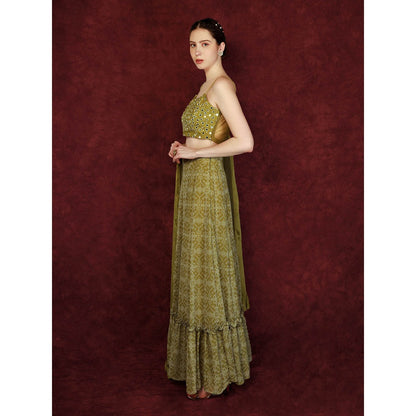 Neha Khullar Printed Lehenga - Green (Set of 3)