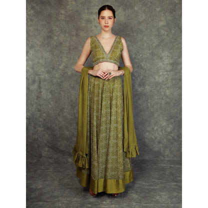 Neha Khullar Printed Lehenga - Green (Set of 3)