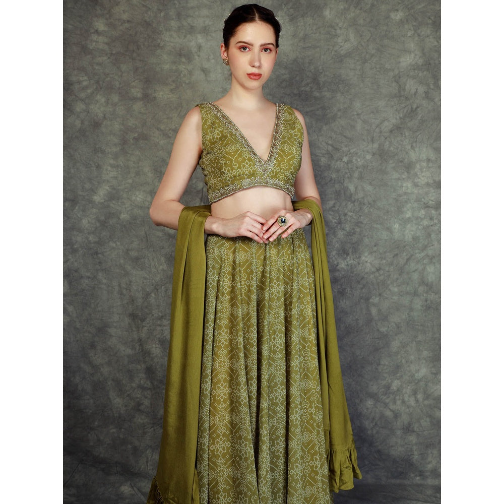 Neha Khullar Printed Lehenga - Green (Set of 3)