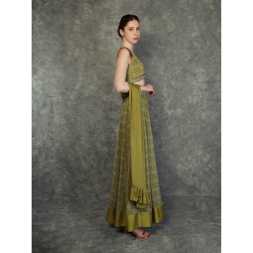 Neha Khullar Printed Lehenga - Green (Set of 3)