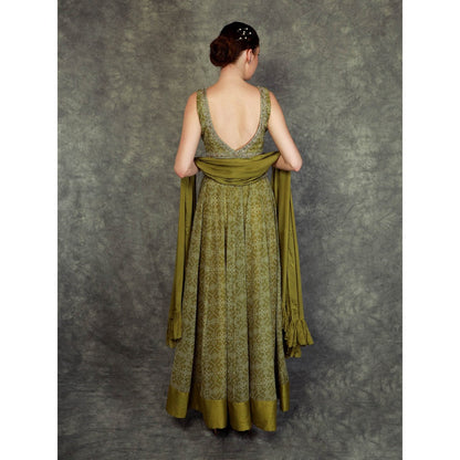 Neha Khullar Printed Lehenga - Green (Set of 3)