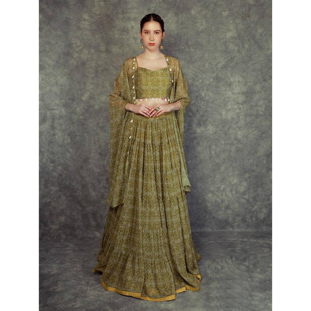 Neha Khullar Printed Lehenga Cape - Green (Set of 3)