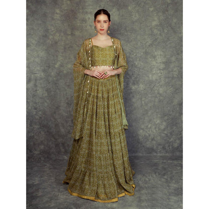 Neha Khullar Printed Lehenga Cape - Green (Set of 3)