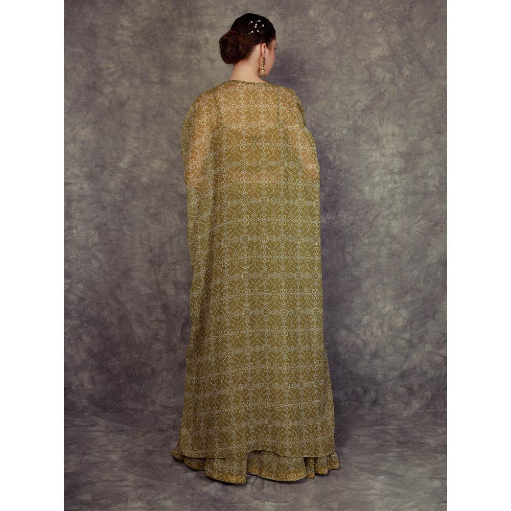 Neha Khullar Printed Lehenga Cape - Green (Set of 3)