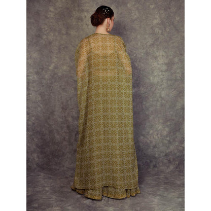 Neha Khullar Printed Lehenga Cape - Green (Set of 3)