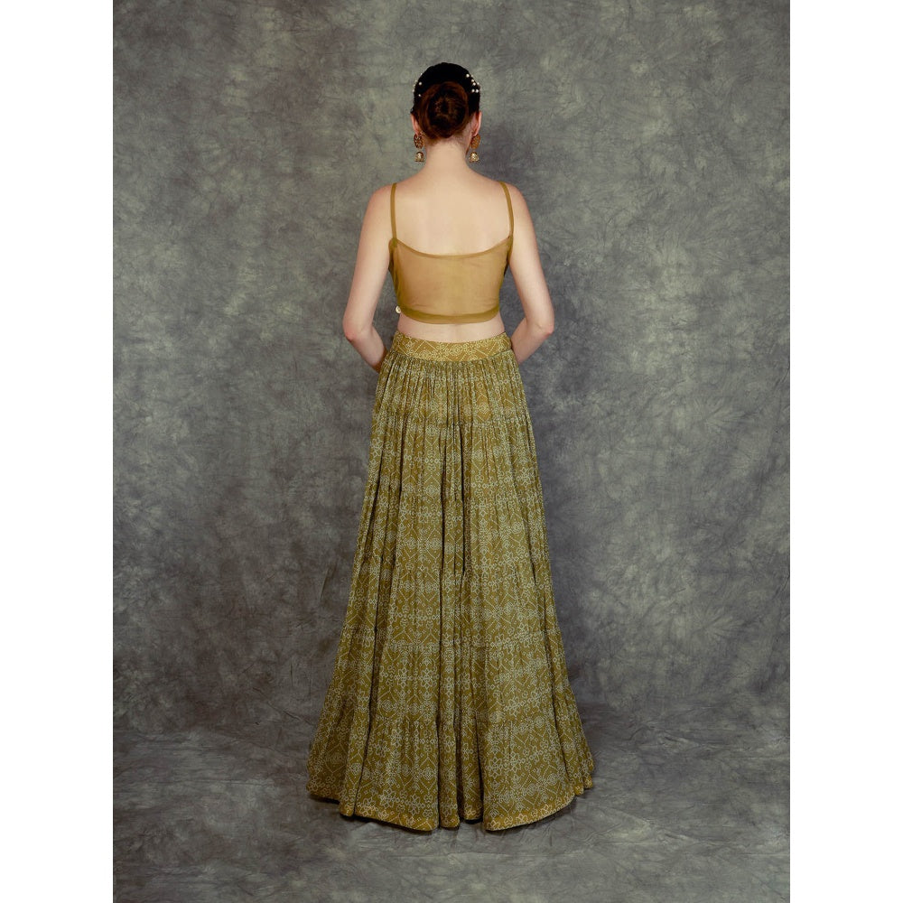 Neha Khullar Printed Lehenga Cape - Green (Set of 3)