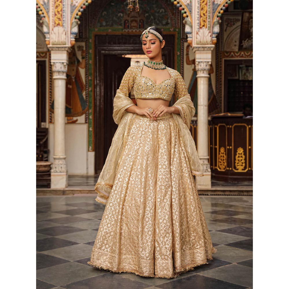 Neha Khullar Banarasi Chanderi Lehenga (Set of 3)