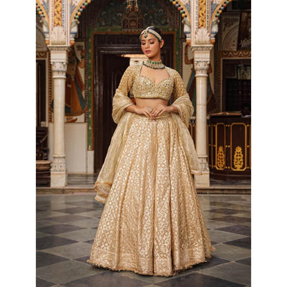Neha Khullar Banarasi Chanderi Lehenga (Set of 3)