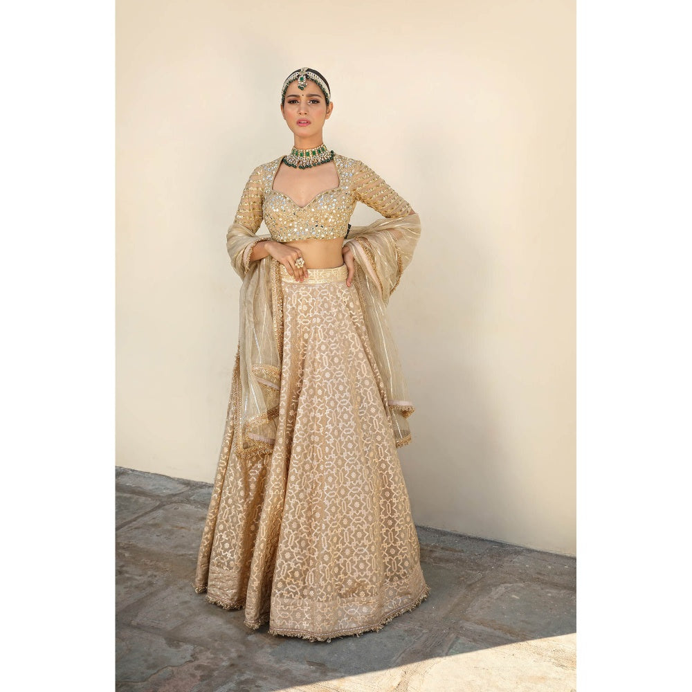 Neha Khullar Banarasi Chanderi Lehenga (Set of 3)