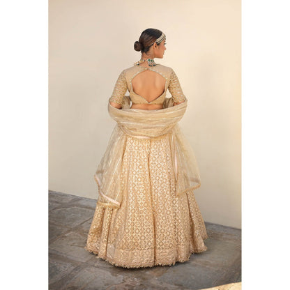 Neha Khullar Banarasi Chanderi Lehenga (Set of 3)