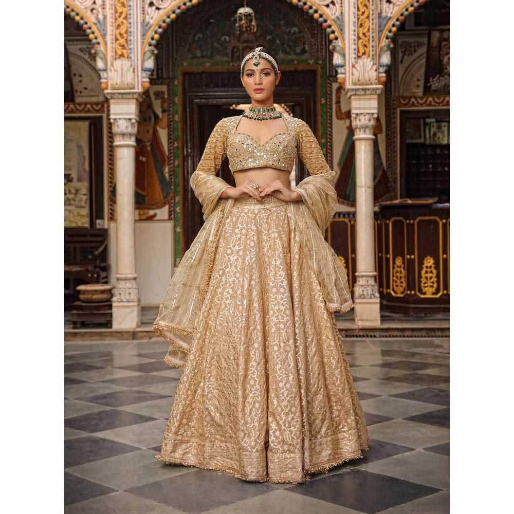 Neha Khullar Banarasi Chanderi Lehenga (Set of 3)