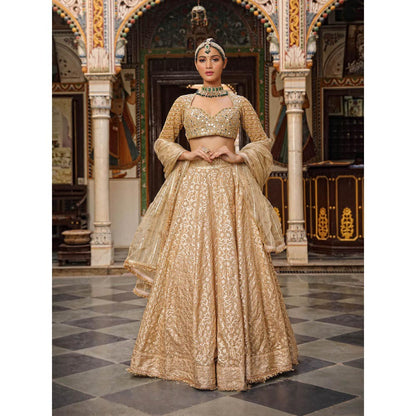 Neha Khullar Banarasi Chanderi Lehenga (Set of 3)