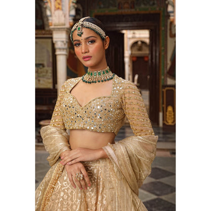 Neha Khullar Banarasi Chanderi Lehenga (Set of 3)