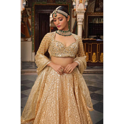 Neha Khullar Banarasi Chanderi Lehenga (Set of 3)