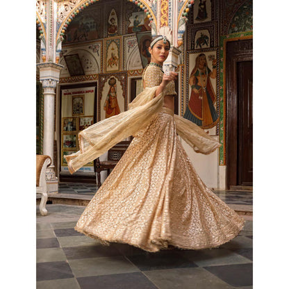 Neha Khullar Banarasi Chanderi Lehenga (Set of 3)