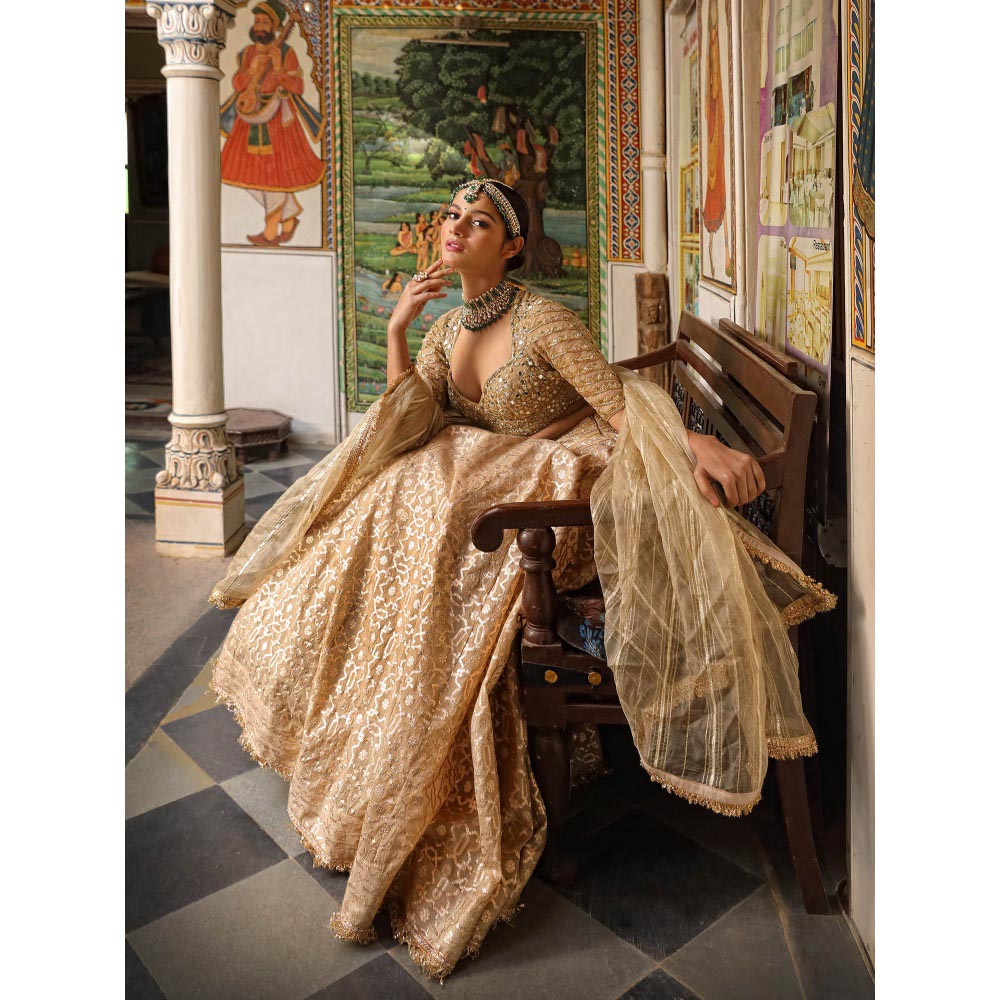 Neha Khullar Banarasi Chanderi Lehenga (Set of 3)