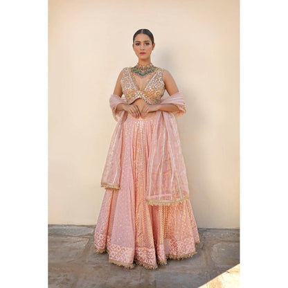 Neha Khullar Banarasi Chanderi Lehenga (Set of 3)