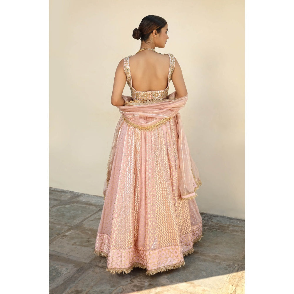 Neha Khullar Banarasi Chanderi Lehenga (Set of 3)