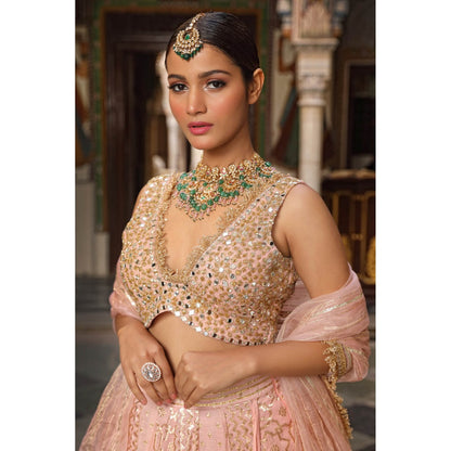 Neha Khullar Banarasi Chanderi Lehenga (Set of 3)