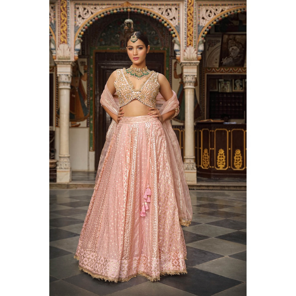 Neha Khullar Banarasi Chanderi Lehenga (Set of 3)
