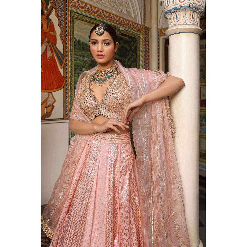 Neha Khullar Banarasi Chanderi Lehenga (Set of 3)