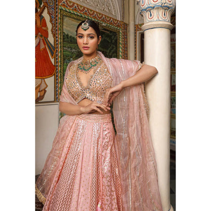 Neha Khullar Banarasi Chanderi Lehenga (Set of 3)