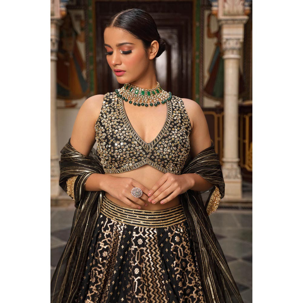 Neha Khullar Banarasi Chanderi Lehenga (Set of 3)