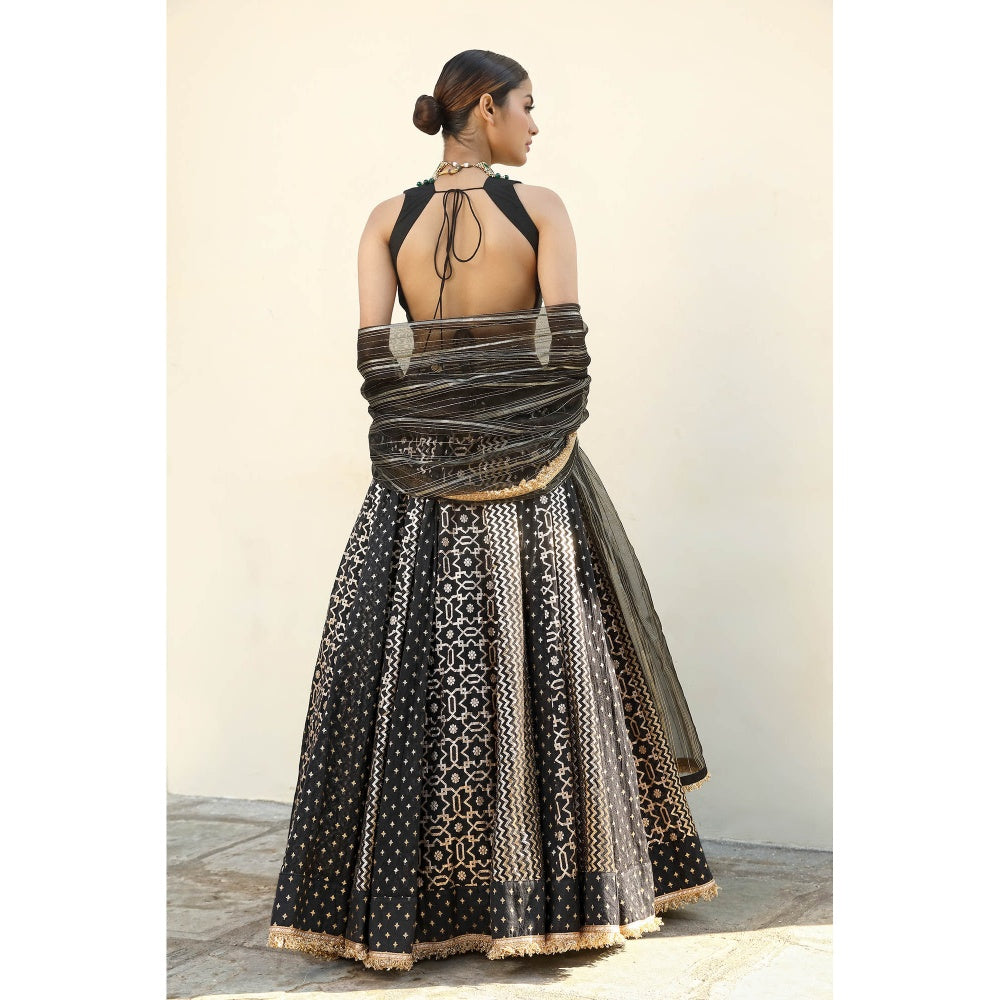 Neha Khullar Banarasi Chanderi Lehenga (Set of 3)