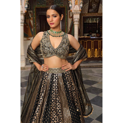 Neha Khullar Banarasi Chanderi Lehenga (Set of 3)