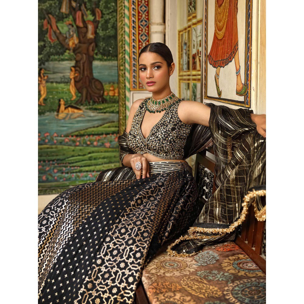 Neha Khullar Banarasi Chanderi Lehenga (Set of 3)