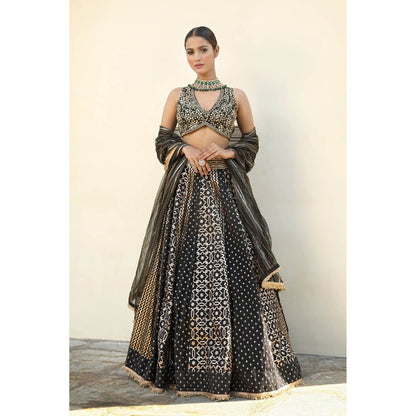 Neha Khullar Banarasi Chanderi Lehenga (Set of 3)