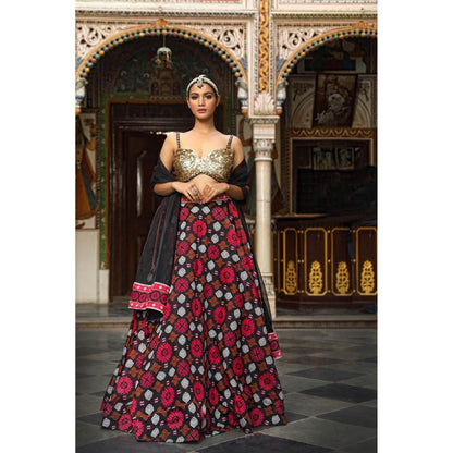 Neha Khullar Printed Lehenga (Set of 3)