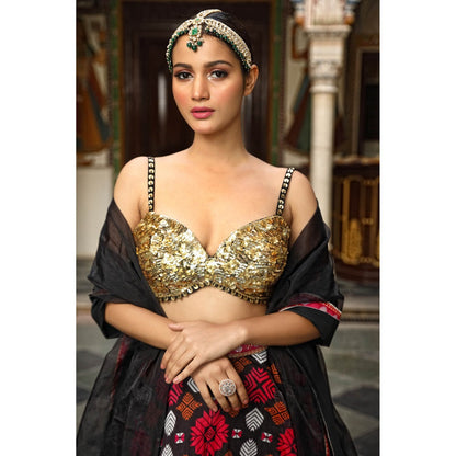 Neha Khullar Printed Lehenga (Set of 3)