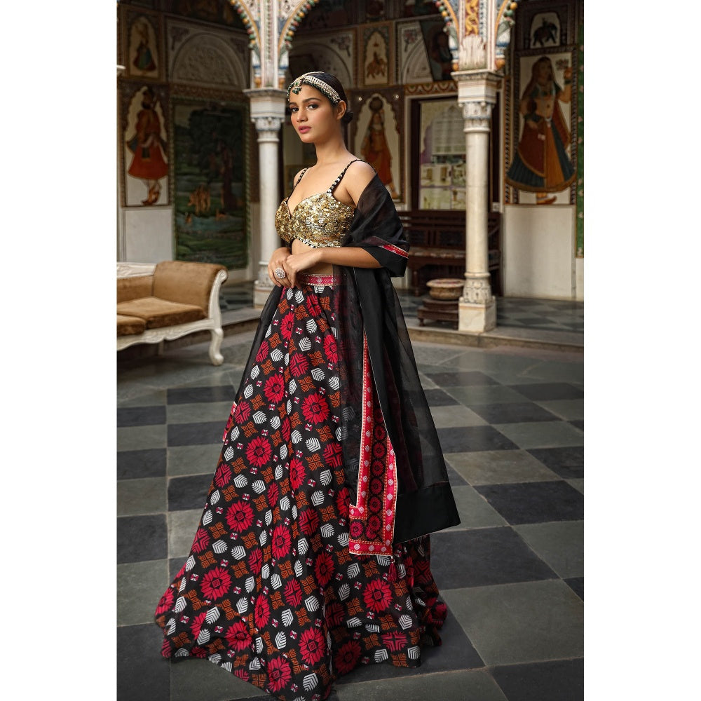 Neha Khullar Printed Lehenga (Set of 3)