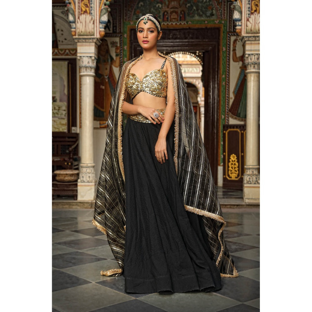 Neha Khullar Dobby Fabrice Lehenga (Set of 3)