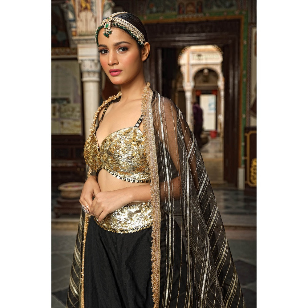 Neha Khullar Dobby Fabrice Lehenga (Set of 3)