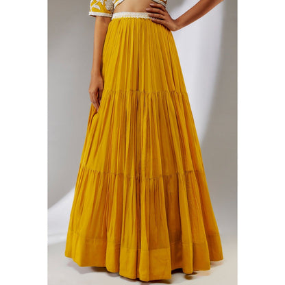 Neha Khullar Chiffon Yellow Beads and Stones Embellished Lehenga (Set of 3)