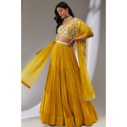 Neha Khullar Chiffon Yellow Beads and Stones Embellished Lehenga (Set of 3)