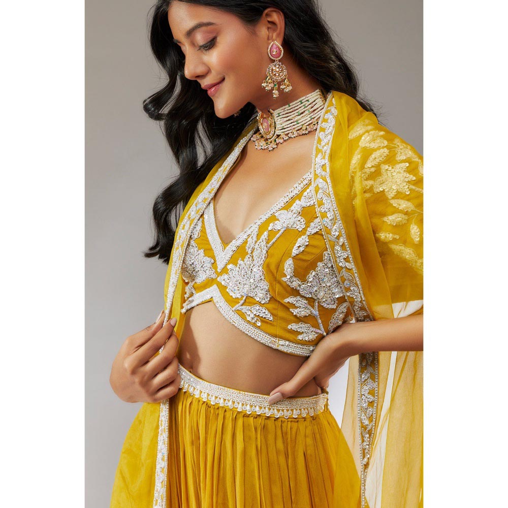 Neha Khullar Chiffon Yellow Beads and Stones Embellished Lehenga (Set of 3)