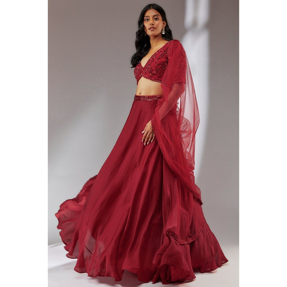 Neha Khullar Satin Wine Embellished Lehenga (Set of 3)