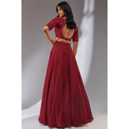 Neha Khullar Satin Wine Embellished Lehenga (Set of 3)