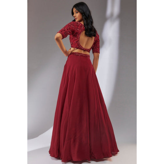 Neha Khullar Satin Wine Embellished Lehenga (Set of 3)