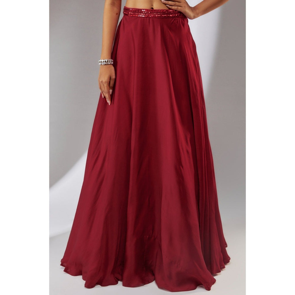 Neha Khullar Satin Wine Embellished Lehenga (Set of 3)