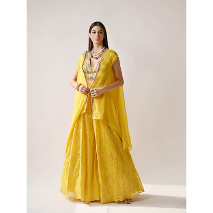 Neha Khullar Yellow Banarasi Chanderi Lehenga (Set of 3)