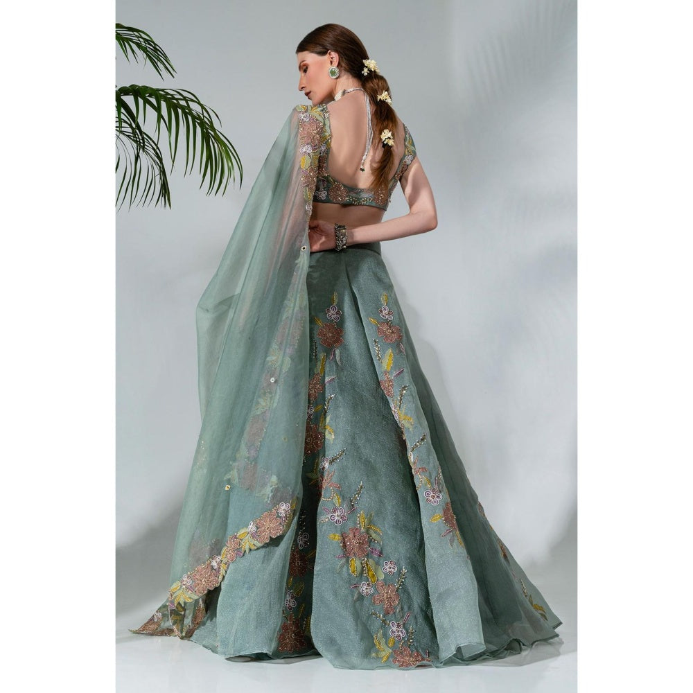 Neha Khullar Green Organza Hand Embroidered Lehenga Blouse with Dupatta (Set of 3)
