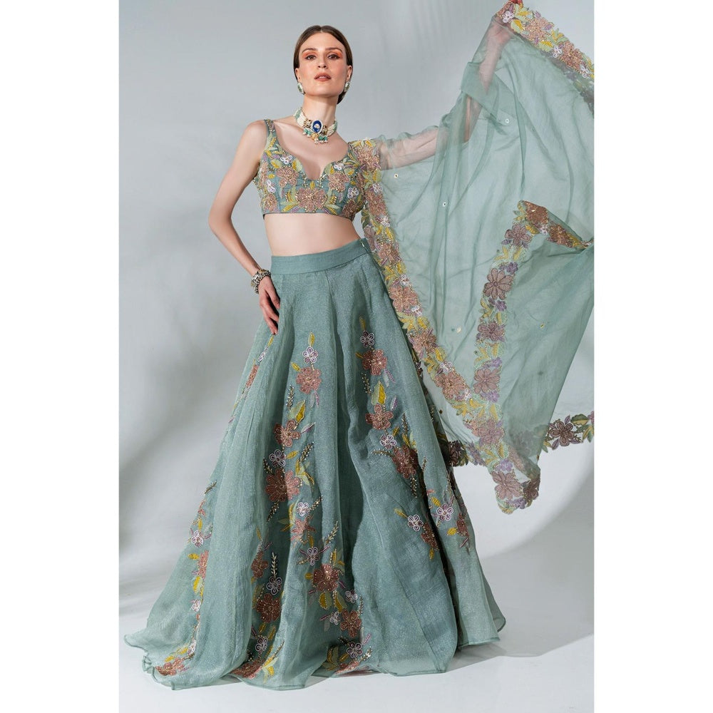 Neha Khullar Green Organza Hand Embroidered Lehenga Blouse with Dupatta (Set of 3)