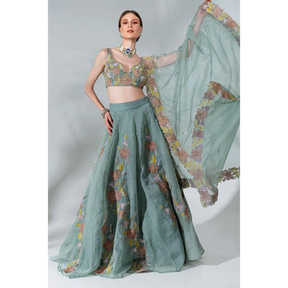 Neha Khullar Green Organza Hand Embroidered Lehenga Blouse with Dupatta (Set of 3)