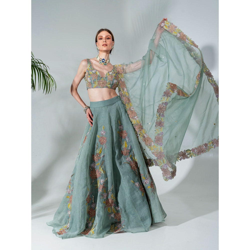 Neha Khullar Green Organza Hand Embroidered Lehenga Blouse with Dupatta (Set of 3)